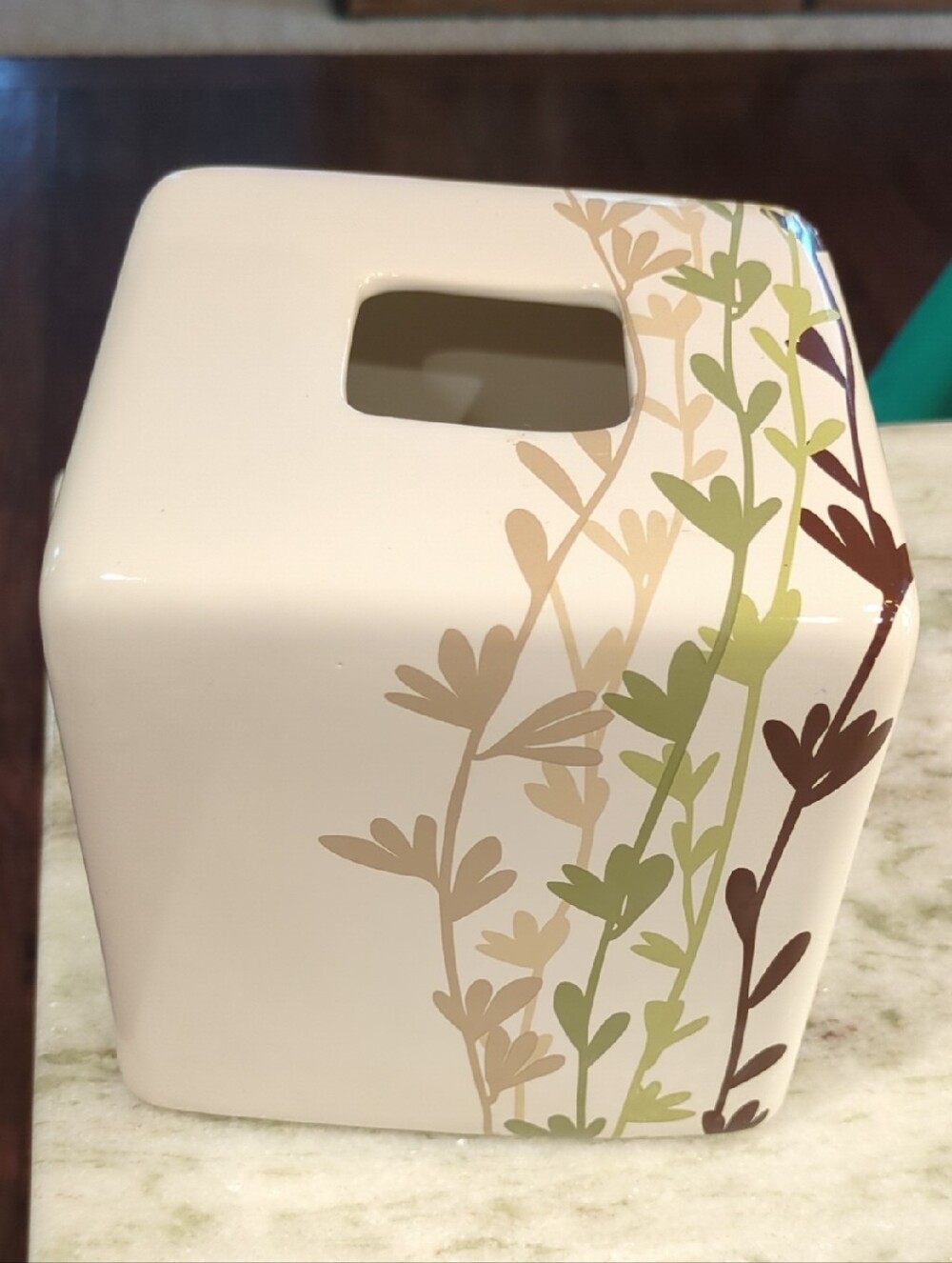 Neutral Ceramic Tissue Box Cover with Green and Brown Vine Design